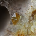 Stolzite -  Mine de l'Eperon - Beauvoir - Echassières - Allier