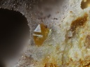 Stolzite -  Mine de l'Eperon - Beauvoir - Echassières - Allier