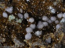 Variscite -  Mine de l'Eperon - Beauvoir - Echassières - Allier
