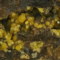 Pyromorphite-Mimetite -  les Montmins -  Echassieres - Allier 