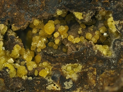 Pyromorphite-Mimetite -  les Montmins -  Echassieres - Allier 