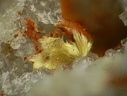 Cacoxenite - Les Montmins - Echassières - Allier
