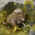 Calcite Pyromorphite - Les Montmins - Echassières - Allier