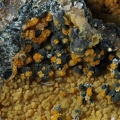 Dufrenite Bariopharmacosiderite - Les Montmins - Echassières - Allier