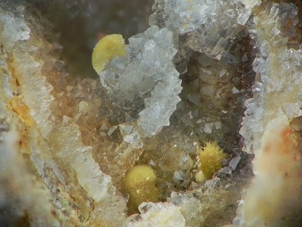 Kidwellite - Les Montmins - Echassières - Allier