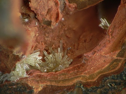 Mimetite - Les Montmins - Echassières - Allier