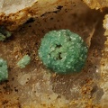 Chalcosiderite -  Mine de l'Eperon - Beauvoir - Echassières - Allier