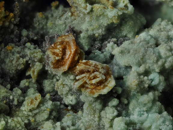 Jarosite Chalcosiderite  Mine de l'Eperon - Beauvoir - Echassières - Allier