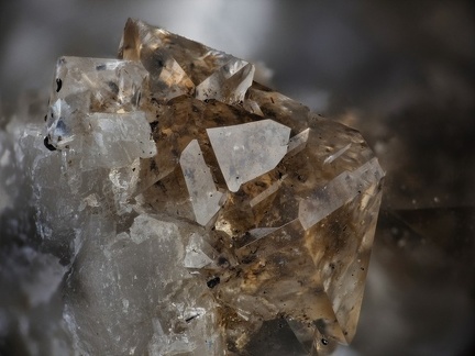 Quartz Bitume - Carrière d'Usclas-du-Bosc (Loiras) - Le Bosc - Hérault