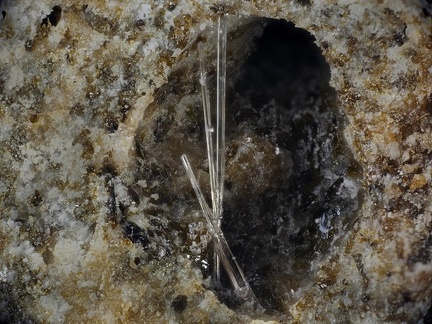 Fluorellestadite - Lapanouse de Sévérac - Aveyron