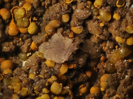 Leucophosphite - Puech de Leguo - La Capelle-Bleys - Aveyron