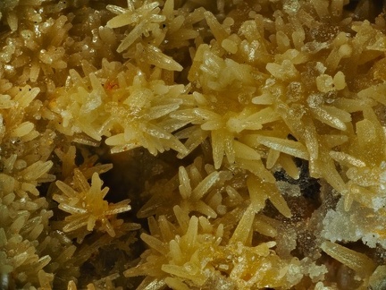 Mimetite - Vernay - St Didier sur Beaujeu - Rhône 