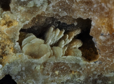 Mimetite - Vernay - St Didier sur Beaujeu - Rhône 