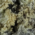 Mimetite - Vernay - St Didier sur Beaujeu - Rhône 