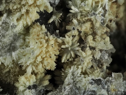 Mimetite - Vernay - St Didier sur Beaujeu - Rhône 