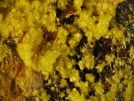Uranopilite - Bigay - Lachaux - Puy de dôme