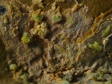 Heinrichite - Rivieral - Le Bosc - Hérault 