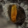 Bazhenovite - Ales - Gard 