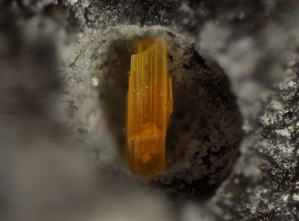 Bazhenovite - Ales - Gard 