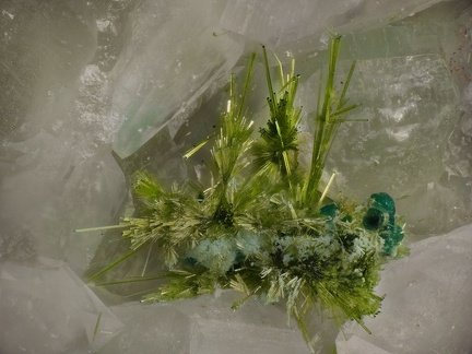 Agardite Cornwallite - Col de Bussang - Fresse sur Moselle - Vosges