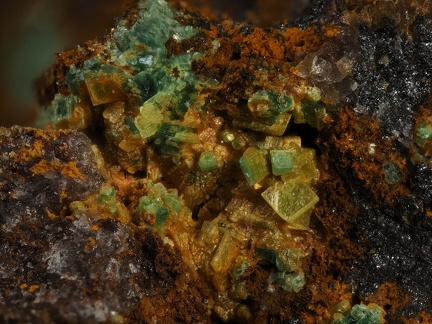 Torbernite Autunite - Chaméane - Le Vernet - Puy-de-Dôme