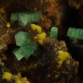 Torbernite Uranopilite - Limouzat - Les Bois-Noirs - Saint-Priest-la-Prugne - Loire