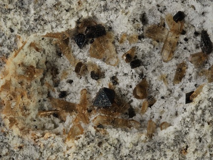 Magnetite Enstatite - Roc de Courlande - Chastreix - Puy-de-Dôme