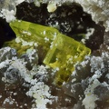 Autunite - Le Boucheron - Davignac - Corrèze