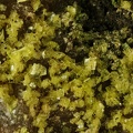 Autunite - Le Boucheron - Davignac - Corrèze