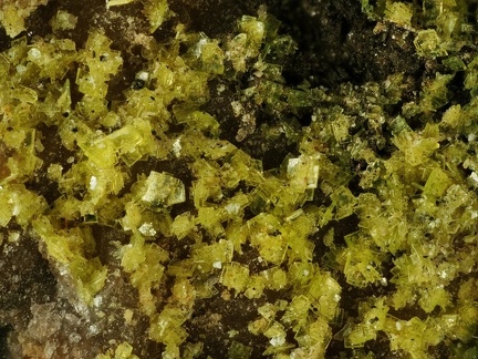 Autunite - Le Boucheron - Davignac - Corrèze