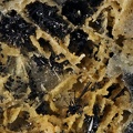 Coronadite - Les Montmins - Echassières - Allier