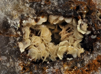 Gorceixite - Les Montmins - Echassières - Allier