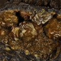 Jarosite - Les Montmins - Echassières - Allier