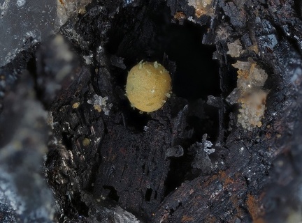 Kidwellite Chalcosiderite Ferberite - Les Montmins - Echassières - Allier