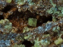 Pharmacosiderite - Les Montmins - Echassières - Allier