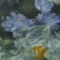 Scorodite Pharmacosiderite Quartz - Les Montmins - Echassières - Allier