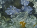 Scorodite Pharmacosiderite Quartz - Les Montmins - Echassières - Allier