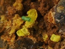 Autunite Torbernite - Bigay - Lachaux - Puy de dôme