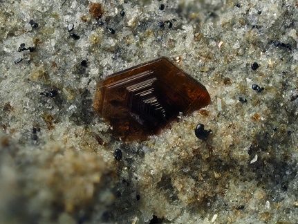 Fluorophlogopite  - Ravin des Chèvres - Mont-Dore - Puy de Dôme