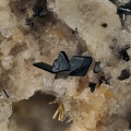 Hématite Enstatite Tridymite - Ravin des Chèvres - Mont-Dore - Puy de Dôme
