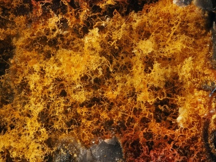 Goethite - Carrière de Birrity - Arbouet-Sussaute - Pyrénées-Atlantiques