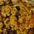 Cacoxenite - Les Montmins - Echassières - Allier