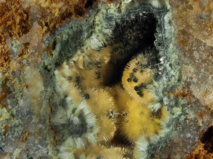 Kidwellite Dufrenite - Les Montmins - Echassières - Allier