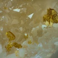 Kintoreite - Les Montmins - Echassières - Allier