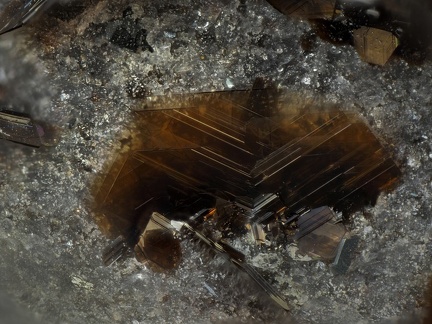  Fluorophlogopite  - Puy de Tunisset - Saint-Ours - Puy-de-Dôme