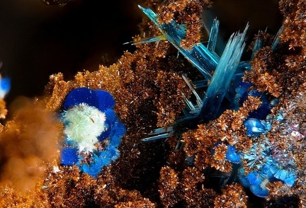 Langite Connellite - Le Franciman - Paulinet - St Jean de Jeannes -Tarn