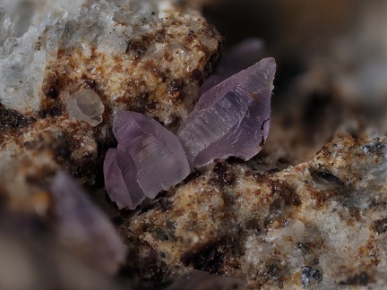 Quartz (var.améthyste) - Les Chazes - St Jaques-des-Blats - Cantal 