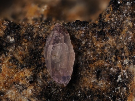 Quartz (var.améthyste) - Les Chazes - St Jaques-des-Blats - Cantal 