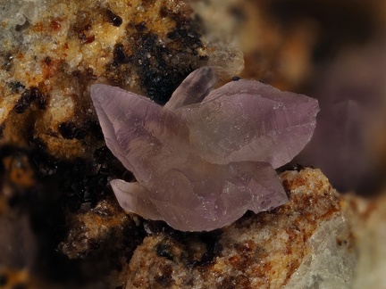 Quartz (var.améthyste) - Les Chazes - St Jaques-des-Blats - Cantal 