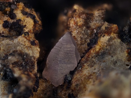 Quartz (var.améthyste) - Les Chazes - St Jaques-des-Blats - Cantal 